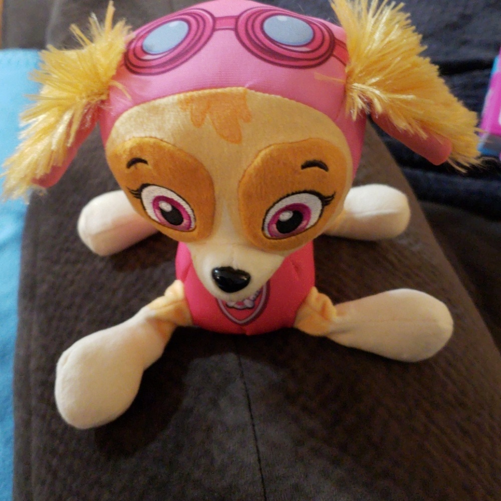 Paw patrol